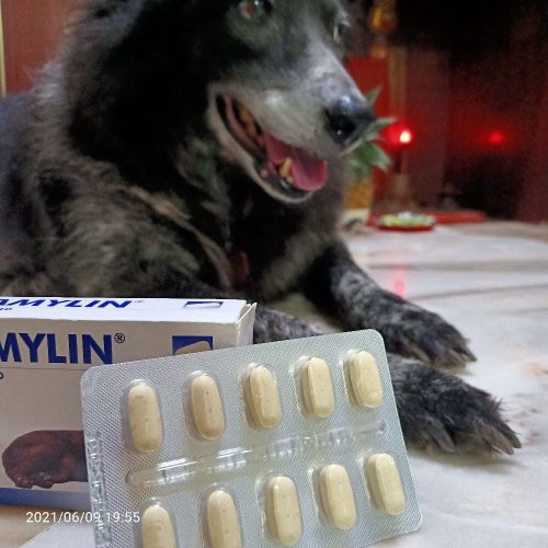 Vetplus SAMYLIN® Canine Liver Hepatic for Large Breed Dog 30 Tablets photo review