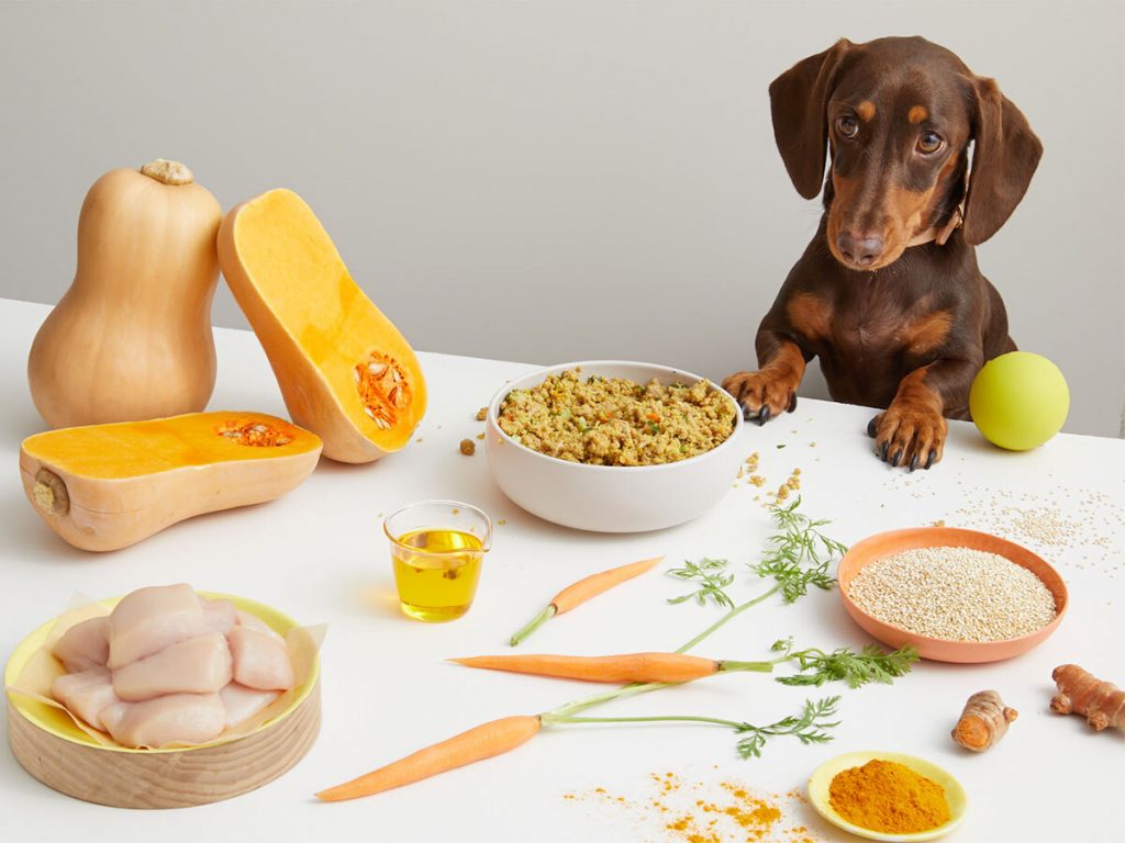 10 summer super foods for dogs